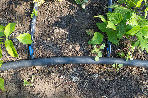 micro irrigation